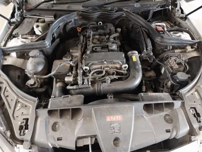 E 250